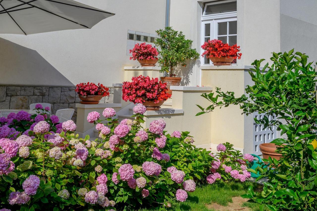 Palace Schoen Milesi - Esense Of Prestige - Private Pool - Free Parking - Old Money Style Luxury Rooms - Walking Distance To The Old Town, The Beach And All Amenities - Buralux Properties 斯普利特 外观 照片